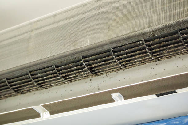 Best Professional Duct Cleaning Services  in Long Beach, NY